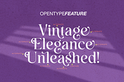Sugar Baby Retro serif, a Font by Vampstudio (Thumbnail 7 of 13)