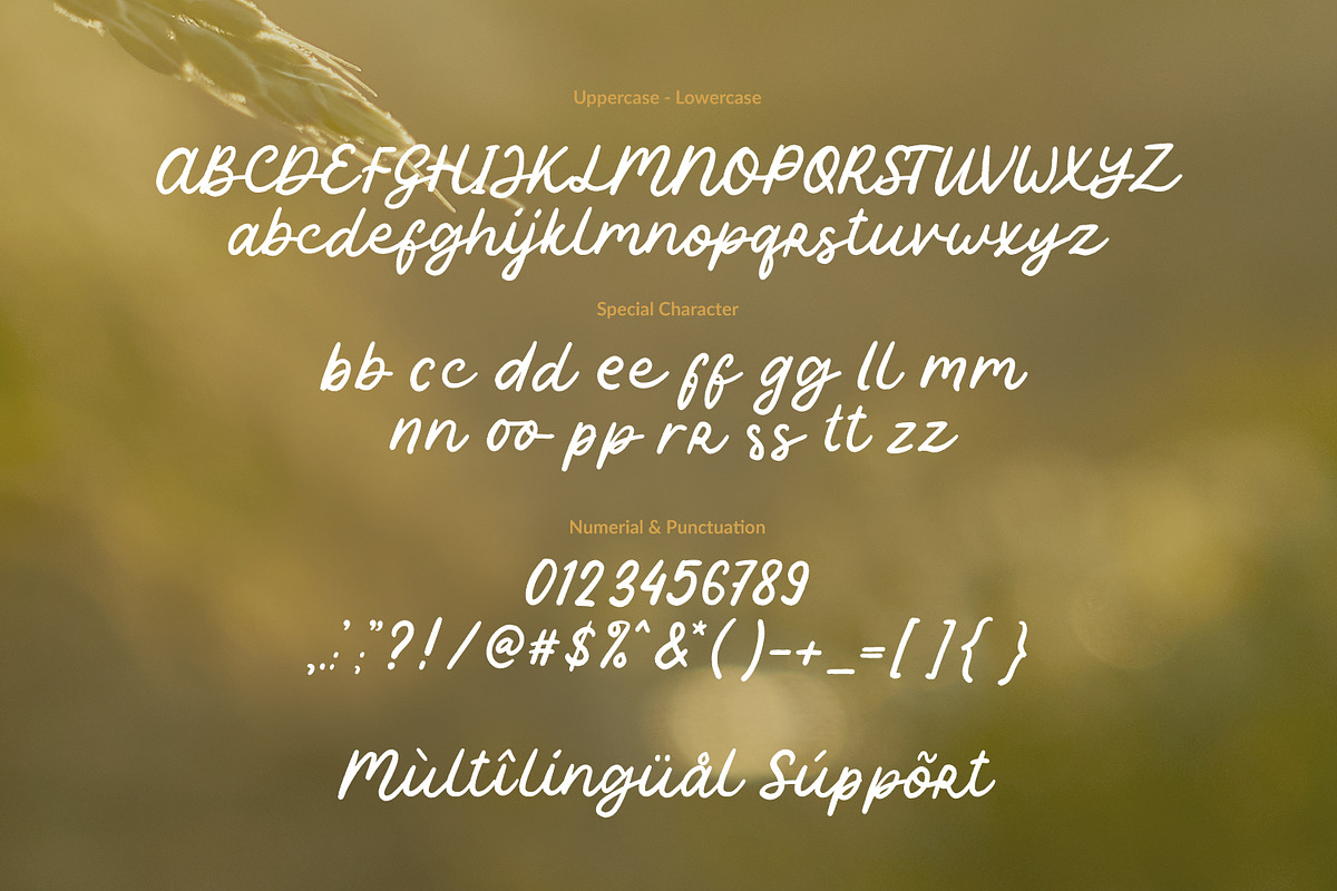 Oryza Sativa - Organic Font Duo, a Font by Orenari (Photo 13 of 15)