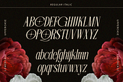 Beloved Dream - 10 Variable Font, a Serif Font by Say Studio (Thumbnail 12 of 13)