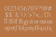 Palmorine | A Modern Serif Typeface, a Serif Font by Typoraith Co (Thumbnail 10 of 10)