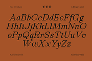 Secth Vought–Luxury Editorial Serif, a Serif Font by MaikoHatta (Thumbnail 7 of 10)