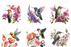 Fairy Hummingbird Floral Clipart