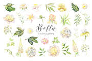 Bella. Watercolor floral collection, an Illustration by OJardin (Thumbnail 6 of 6)