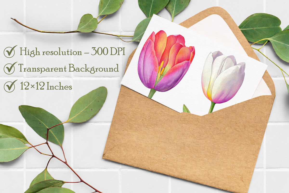 Watercolor Tulip Clipart, an Illustration by Libby Wishes (Photo 6 of 6)