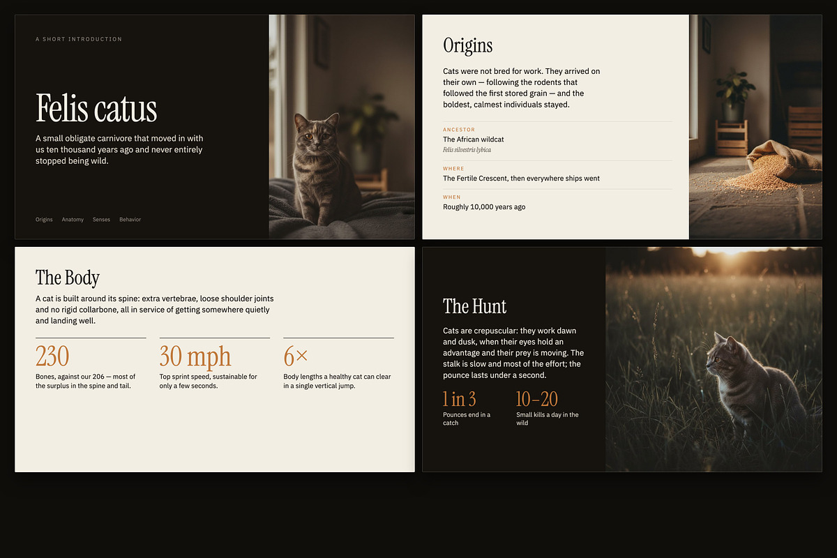 Understory Editorial Deck Template, a Presentation Template by Uno Creative Studio (Photo 2 of 10)