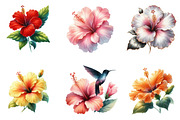 Hibiscus Flower Watercolor Clipart, an Illustration by DreamArtGraphic (Thumbnail 3 of 5)