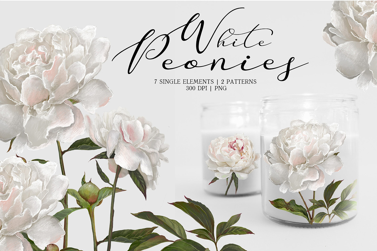 Peonies. Spring flower collection., an Object Graphic by RushkinaAntonina (Photo 3 of 5)
