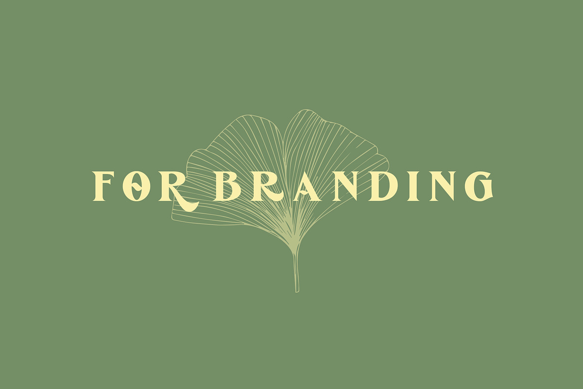 De Ginkgo, a Serif Font by Emyself Design (Photo 4 of 16)