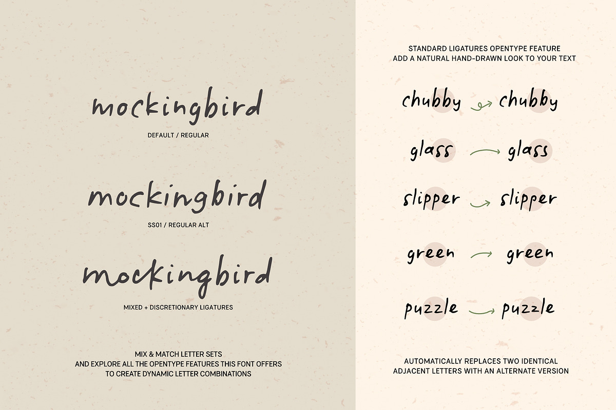 Botanicale | Handwritten Font, a Handwritten Font by type peace (Photo 10 of 18)