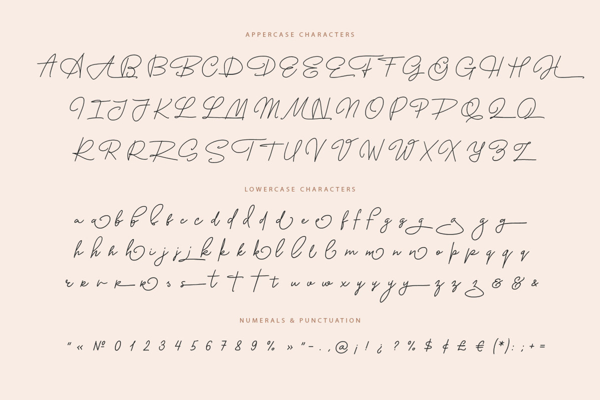 Bonita Melodia Script, a Script Font by Andrey Sharonov (Photo 11 of 13)