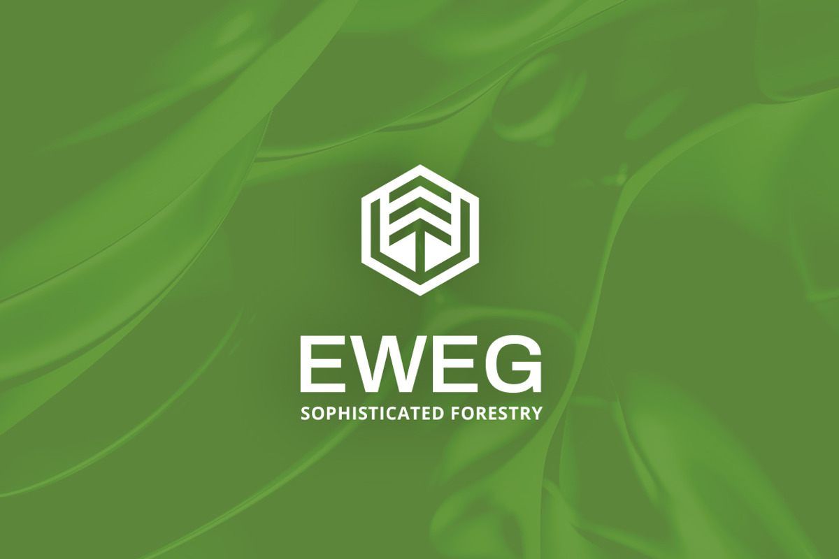Eweg Fir Tree Wood Forest Logo, a Branding & Logo Template by Tovarkovdesign (Photo 6 of 6)