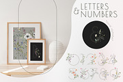 SERENITY Wild flowers collection, a Decorative Illustration by Anastezia Luneva (Thumbnail 5 of 9)