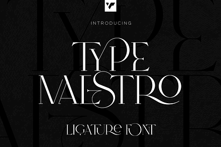 SALE! Type Maestro -  serif font, a Serif Font by VP Fonts