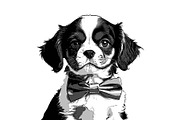 Vector Path Creator, an Action Add-On by MRI STUDIO (Thumbnail 3 of 15)