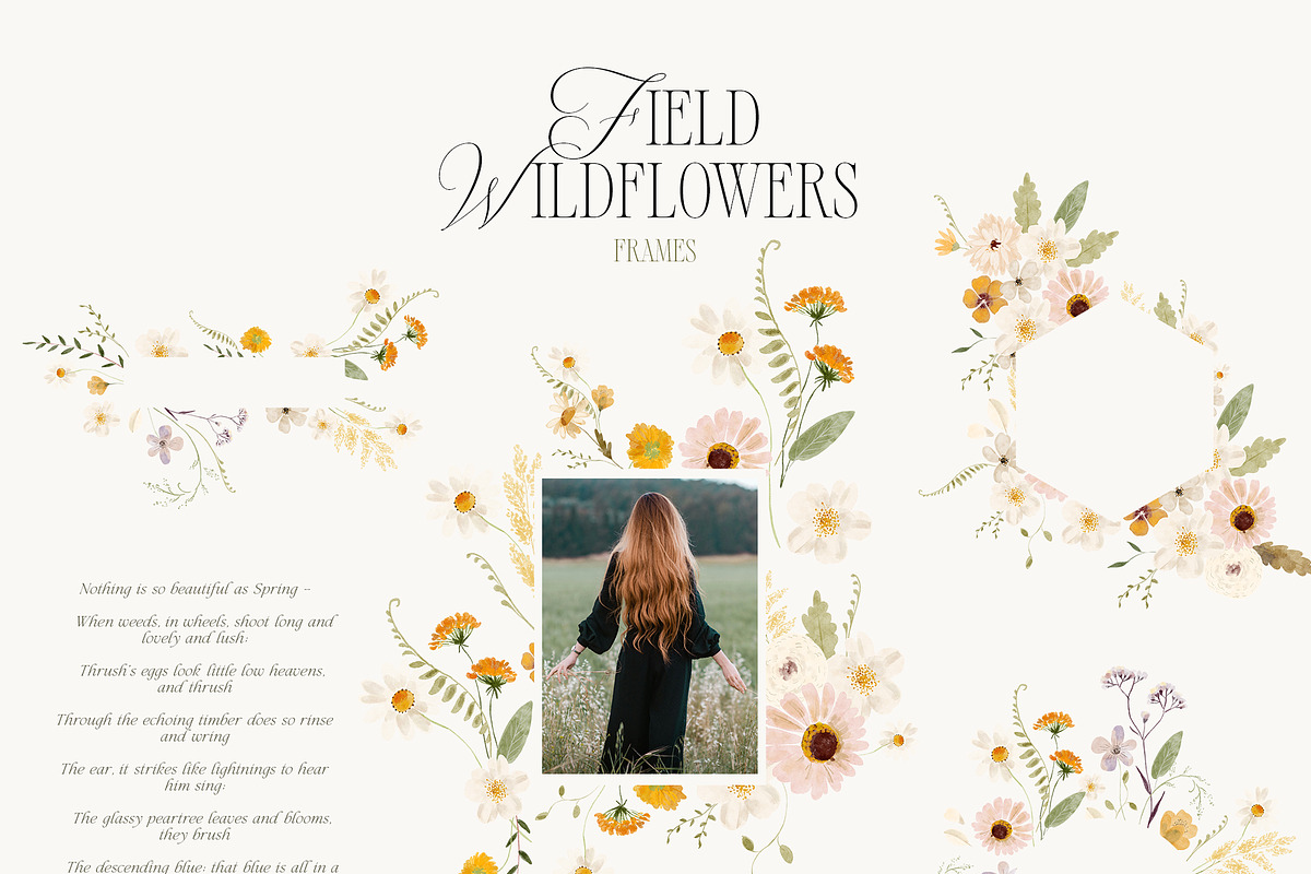 FIELD WILDFLOWERS watercolor, a Decorative Illustration by Lana Elanor (Photo 3 of 12)