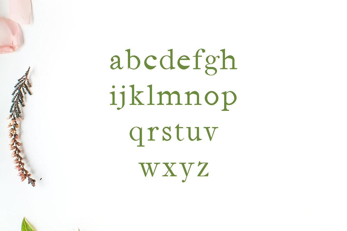 Jerricca Serif Typeface preview 3