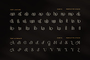 Damita Elegant Serif Display Font, a Serif Font by Perfectype (Thumbnail 8 of 8)