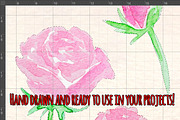 31 Pink Roses Watercolor Graphics, a Seasonal Illustration by Violet LeBeaux (Thumbnail 3 of 3)