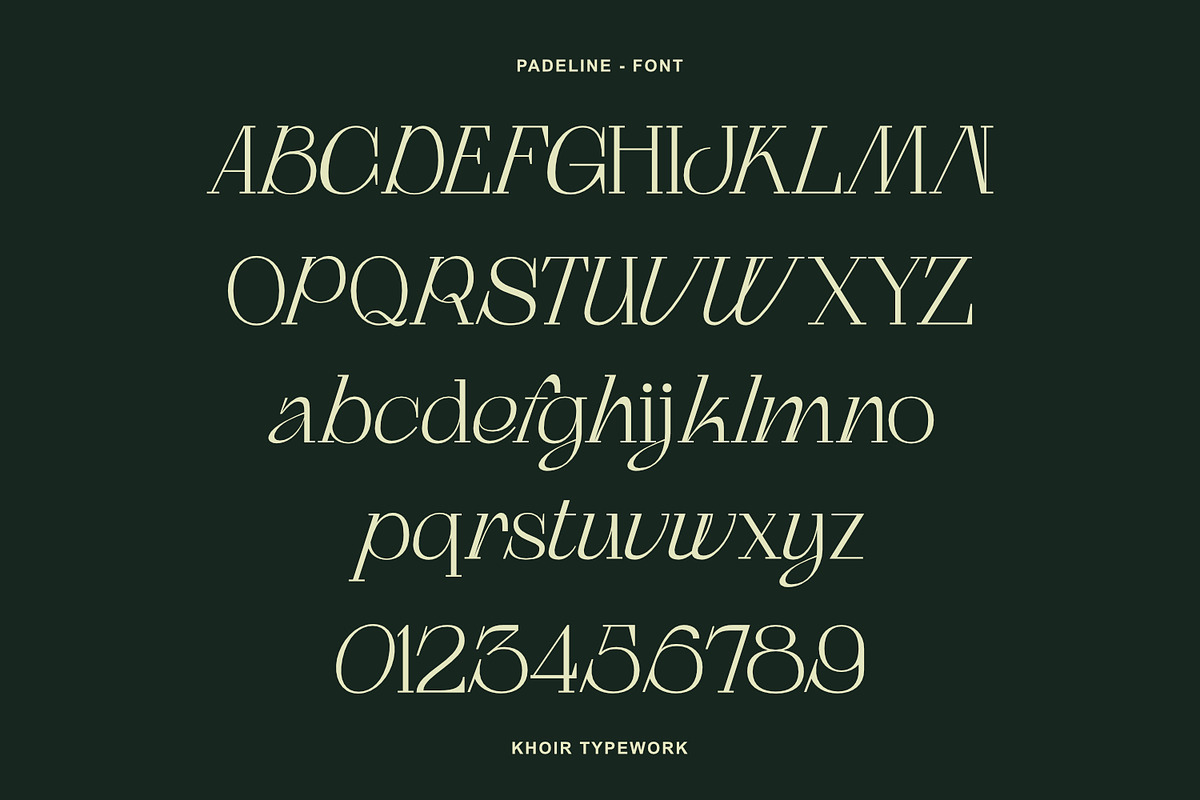 Padeline - Unique Serif, a Serif Font by Khoir (Photo 5 of 9)