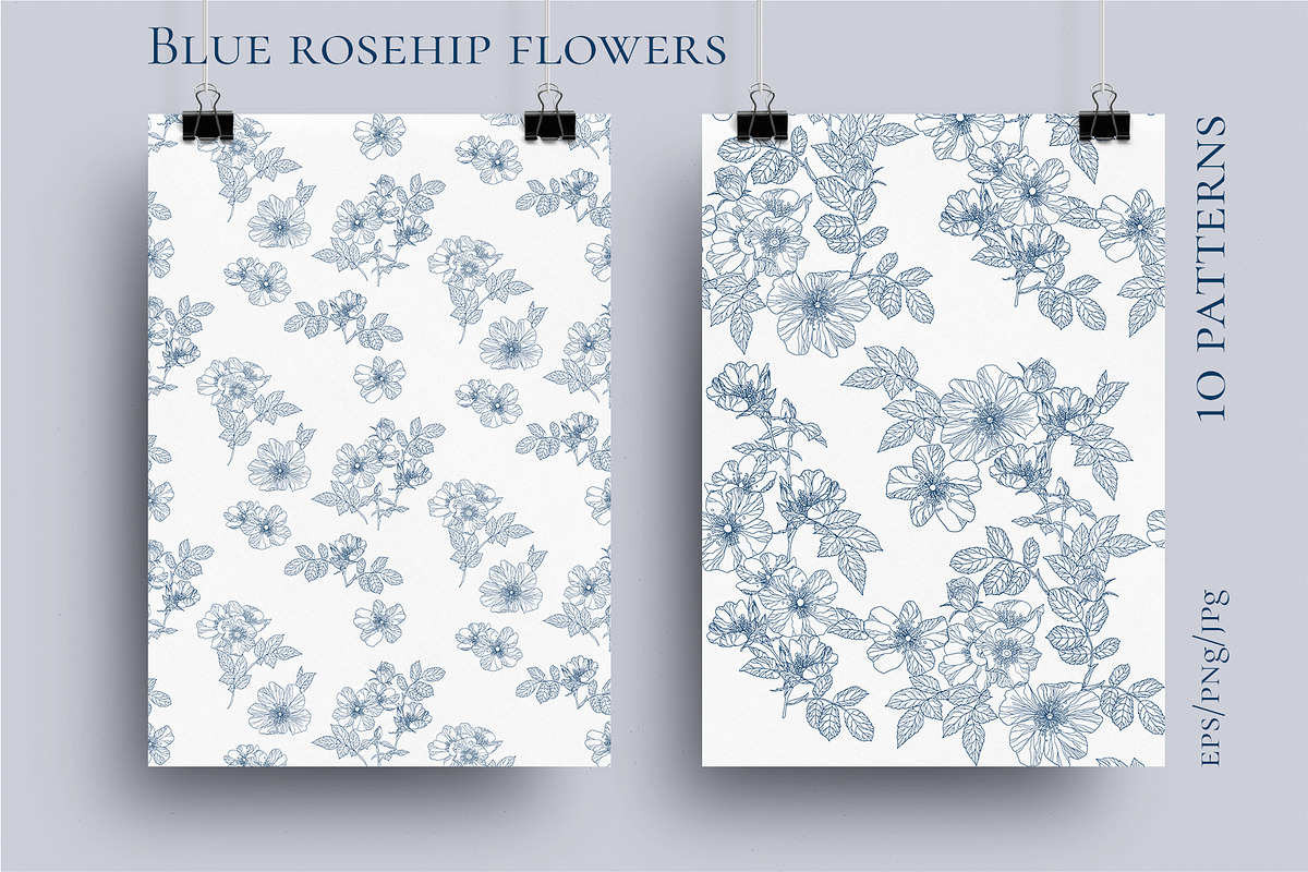 Blue rosehip flowers, a Decorative Illustration by LanaDzi (Photo 6 of 12)