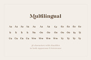 Rolfter - Classic Serif, a Serif Font by AlienValley (Thumbnail 9 of 9)