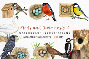 Watercolor Birds and their Nests PNG