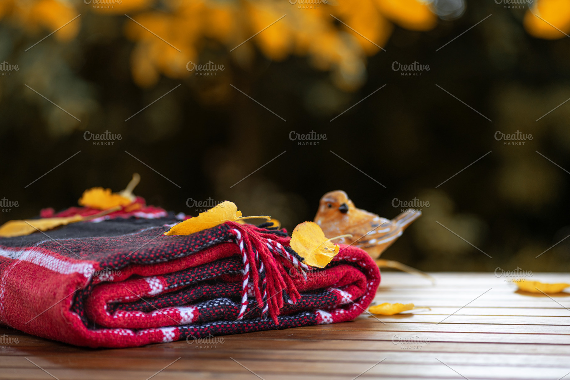 Autumn composition, an Arts & Entertainment Photo by LanaSweet