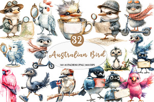 Funny Australian Bird Clipart, an Illustration by Watercolor design