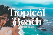 Magista Modern Stylish Elegant Font, a Serif Font by Ronny Studio (Thumbnail 8 of 17)