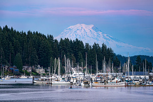 Mount Rainier Looming over Gig