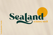 The Grand Serif Collection - 8 Bold, a Serif Font by NendesKombet Studio (Thumbnail 7 of 9)