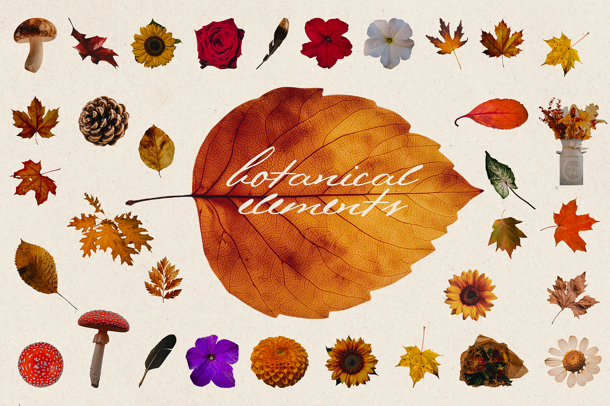 Autumn Academia - Vintage Clipart, an Object Graphic by JulsIst (Photo 7 of 10)