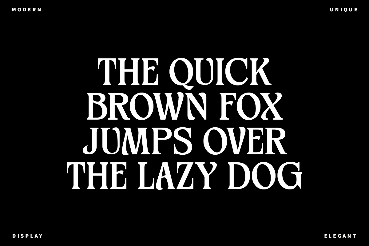 Meginer Nineties - Modern Serif, a Serif Font by Comactype Foundry (Photo 13 of 22)