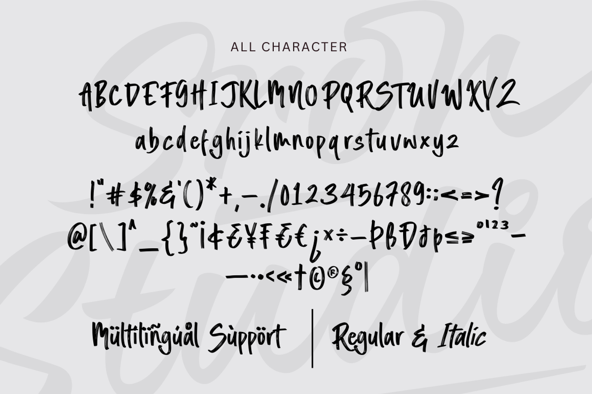 Ramidots - Handbrush Font, a Script Font by Sronstudio (Photo 14 of 14)