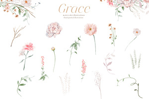 Wild Floral Illustrations - Grace