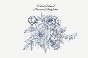 23 Collection - Peony Flowers, an Illustration by By_Pedram (Thumbnail 2 of 6)