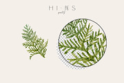 DECEMBER Watercolor Winter Set, an Object Graphic by Kaleriia (Thumbnail 4 of 13)