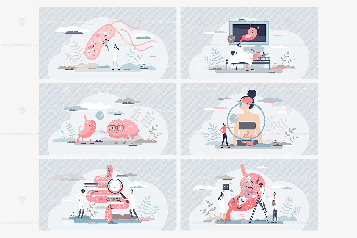 12 Gut Health Concepts, a Food Illustration by VectorMine (Photo 3 of 7)