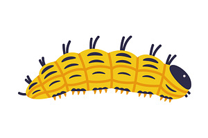 Yellow Caterpillar As Larval Stage