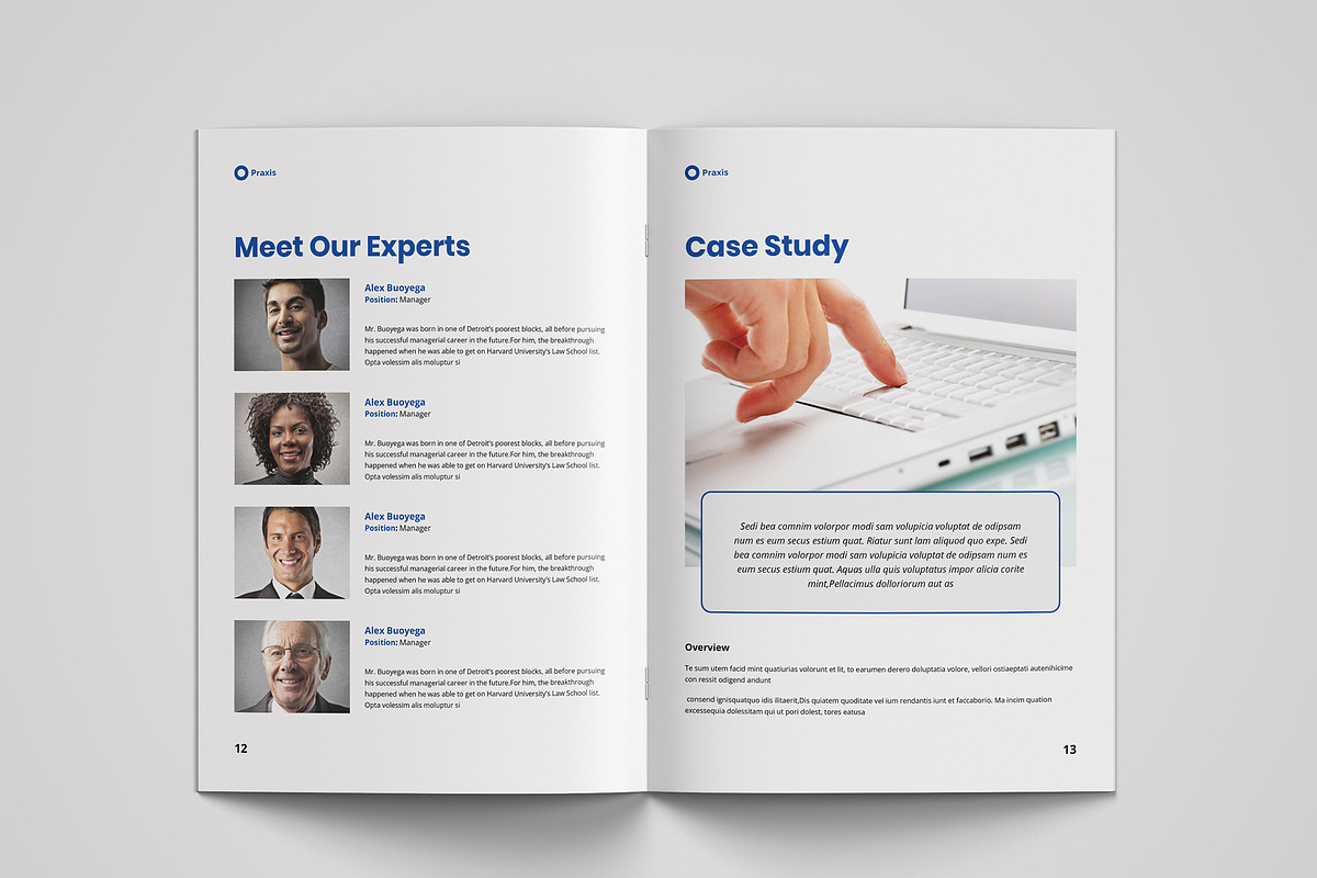 White Paper | MS Word & Indesign, a Brochure Template by azadcsstune (Photo 8 of 15)