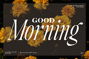 Beyond Comfort - Classy Font Duo, a Serif Font by Tom Chalky (Thumbnail 7 of 13)