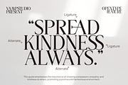 Chastherstocks Stylish Modern Font, a Serif Font by Vampstudio (Thumbnail 11 of 13)