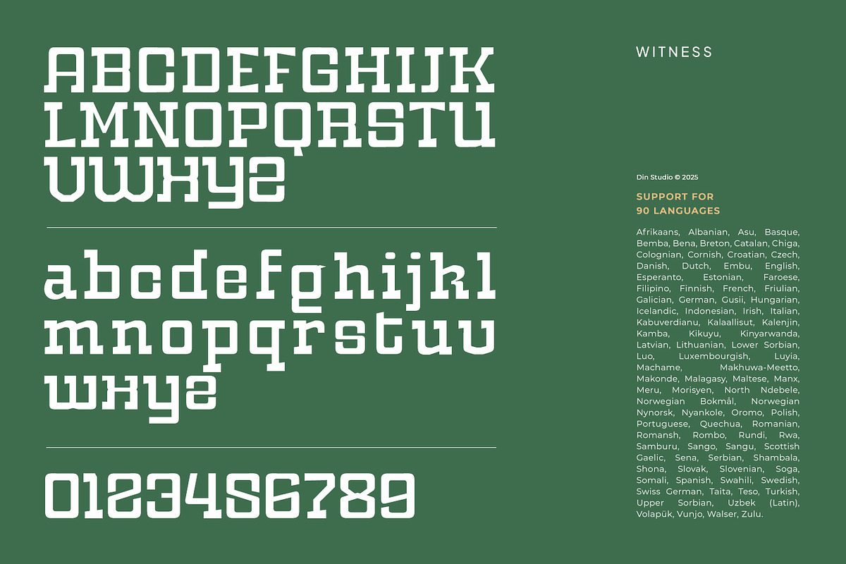 Witness, a Slab Serif Font by din-studio.com (Photo 8 of 15)