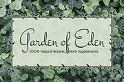MFC Botanical Borders, a Font by Monogram Fonts Co. (Thumbnail 4 of 6)