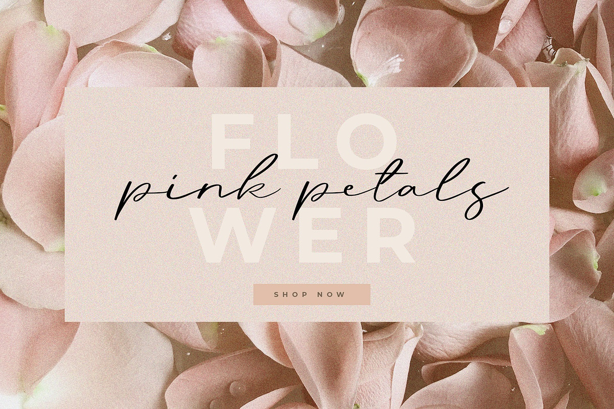 Hassey - A Modern Calligraphy Font, a Script Font by Graphicfresh (Photo 4 of 7)