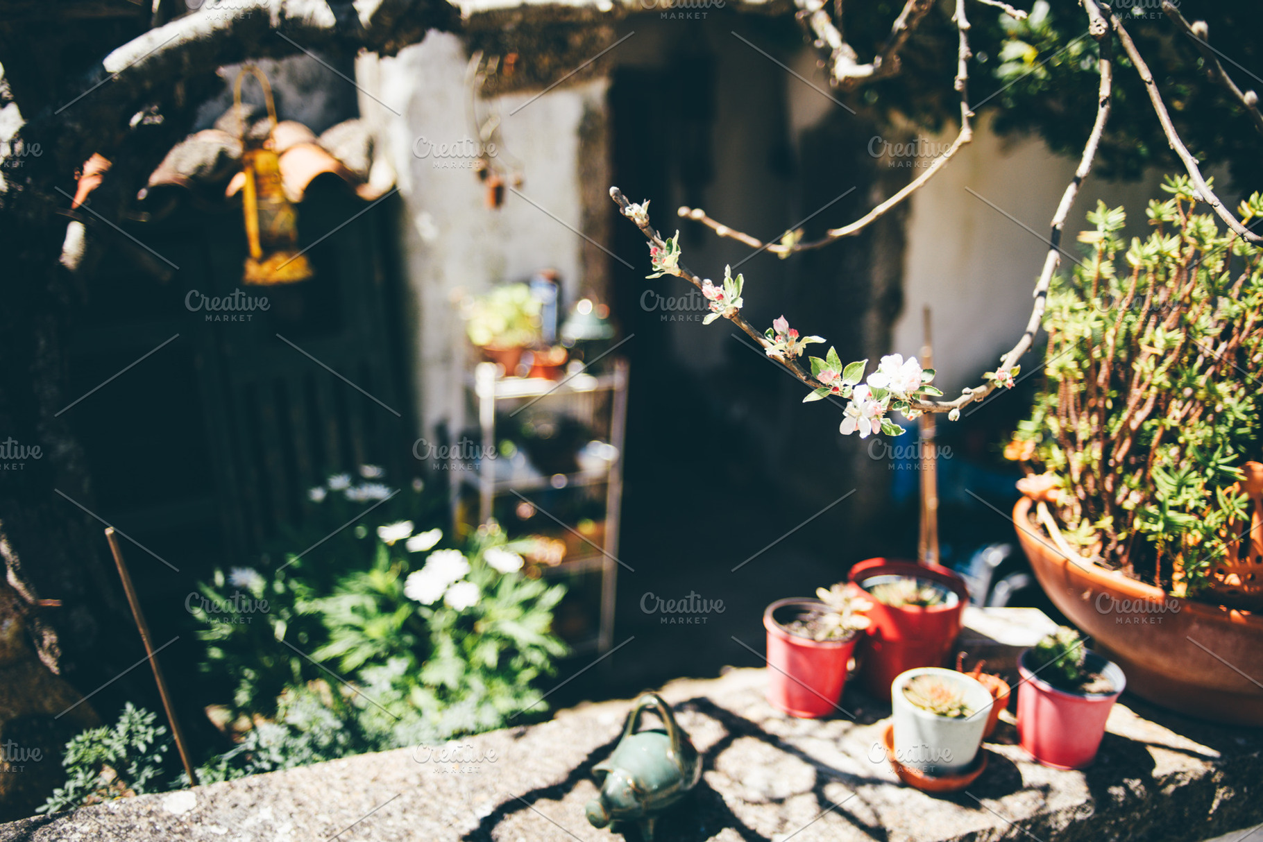 Blooming branch with blurred garden, an Architecture Photo by SkyNext