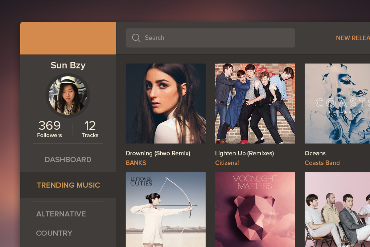 Music Dashboard, an UI Kit Template by Sunbzy (Photo 4 of 4)