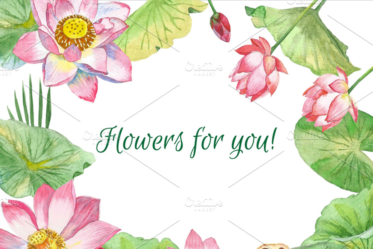 Lotus Flowers, an Illustration by Nataliapiache (Photo 3 of 4)