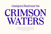 Dickens - Movie Title Serif, a Serif Font by Fenotype (Thumbnail 13 of 15)