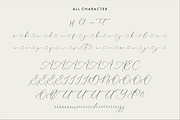 Charttisle wadfield Luxury Font, a Serif Font by Storytype Studio (Thumbnail 14 of 15)